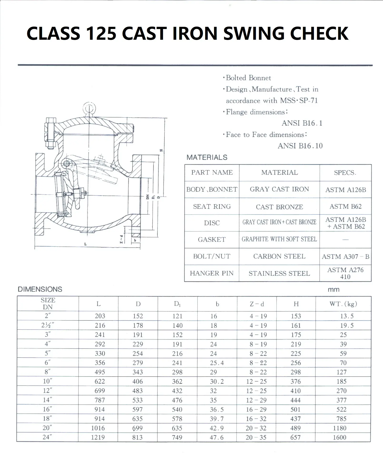 CLASS 125 CAST IRON SWING CHECK.webp